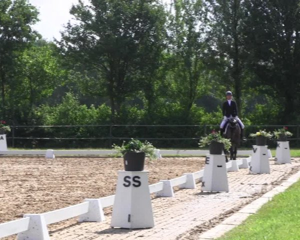Reitturnier Hille 2017