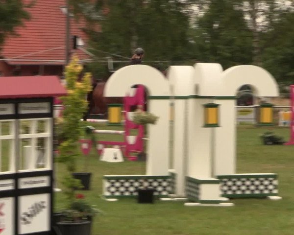 Reitturnier Hille 2017