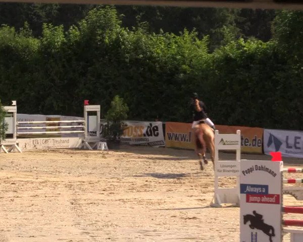 Reitturnier Fröndenberg 2017