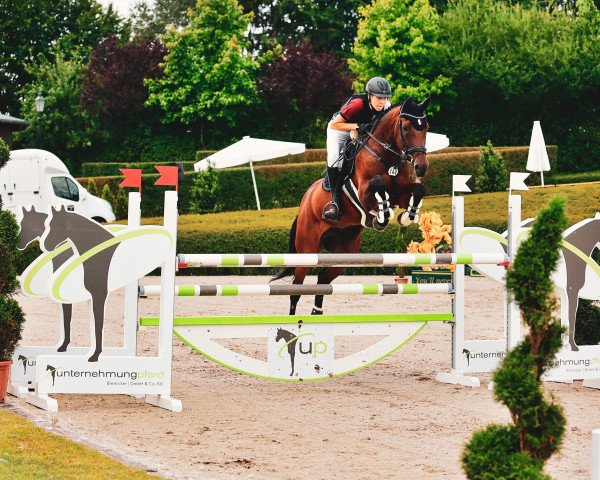 broodmare Calina W (Holsteiner, 2007, from Calido I)