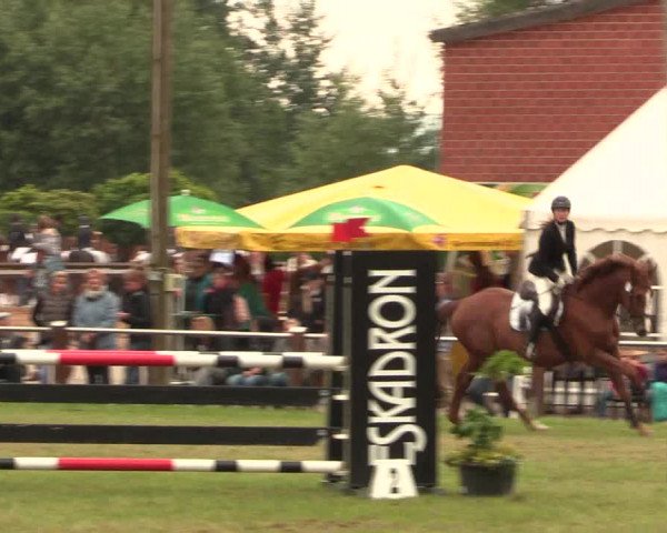 Reitturnier Hille 2017