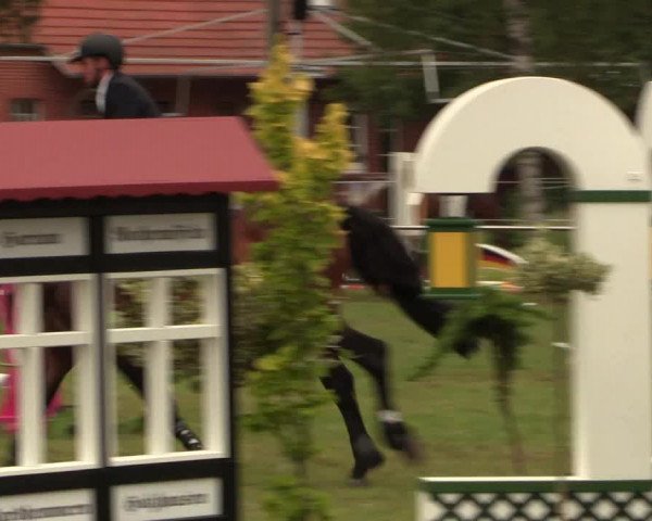 Reitturnier Hille 2017