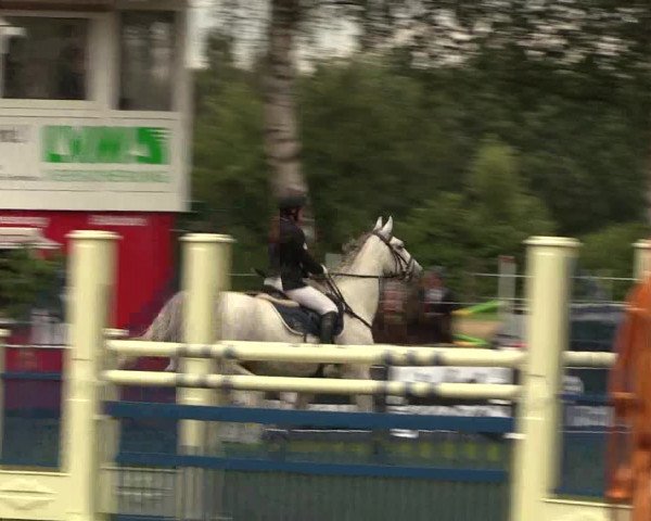Reitturnier Hille 2017