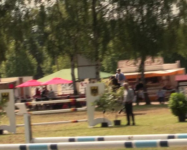 Reitturnier Hille 2017