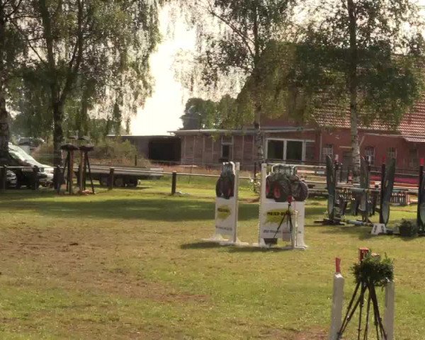 Reitturnier Hille 2017