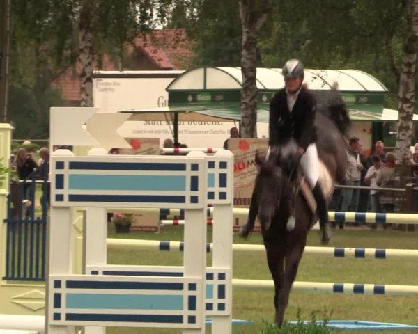 Reitturnier Hille 2017