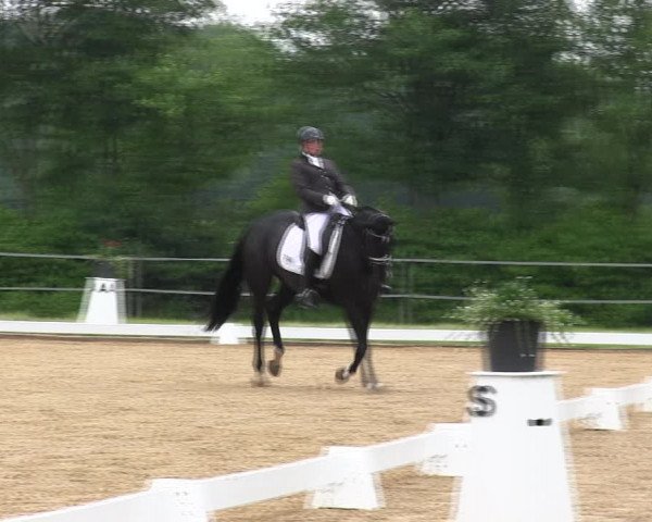 Reitturnier Hille 2017