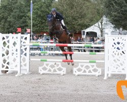 stallion Edinburgh (KWPN (Royal Dutch Sporthorse), 2009, from Guccio)