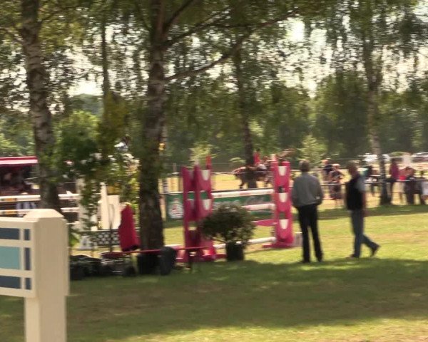 Reitturnier Hille 2017