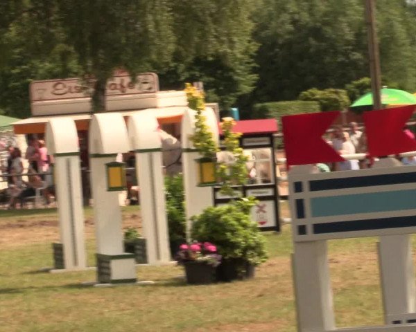 Reitturnier Hille 2017