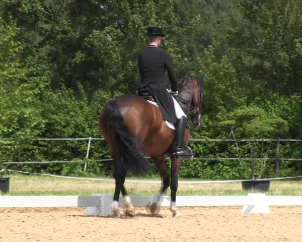 Reitturnier Hille 2017