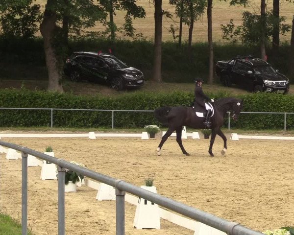 Reitturnier Kierspe-Hohenholten 2017