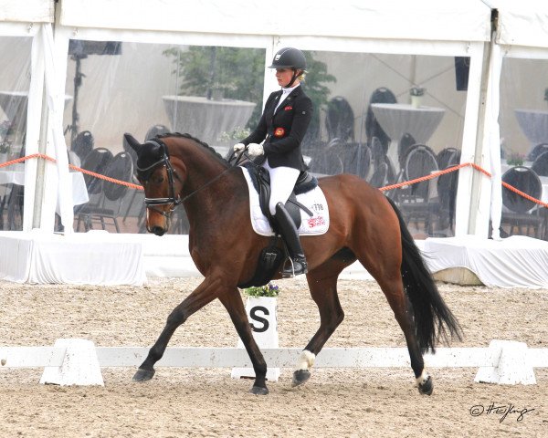dressage horse Lemonie HE (Hanoverian, 2013, from Lemony's Nicket)