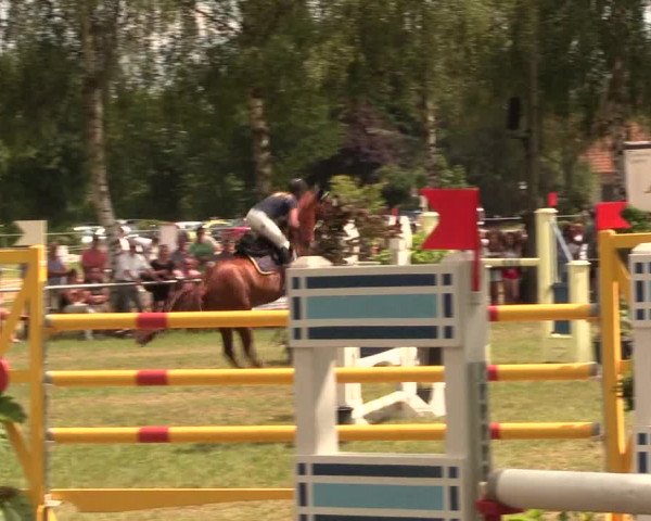 Reitturnier Hille 2017