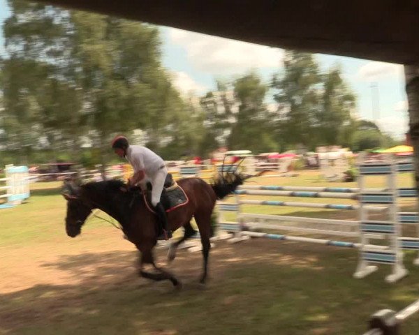 Reitturnier Hille 2017