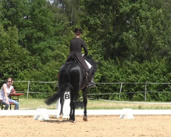 Reitturnier Hille 2017