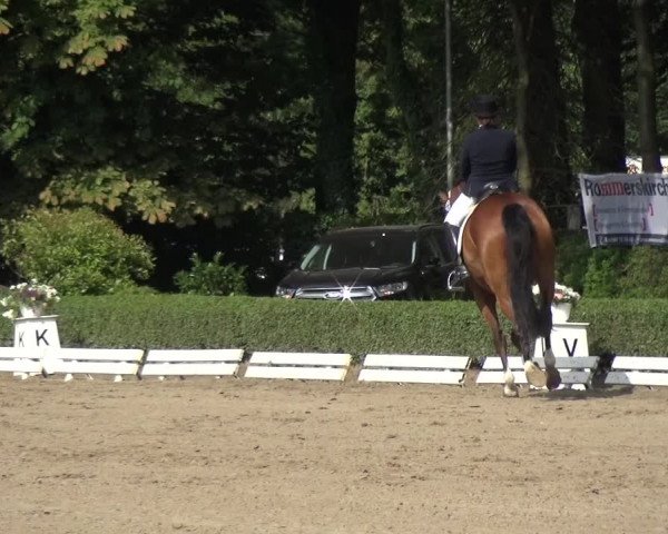 Reitturnier Krefeld - Reitanlage Kühnen 2017