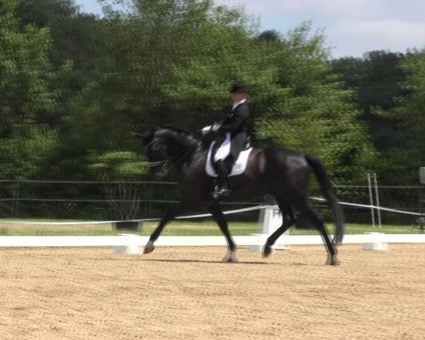 Reitturnier Hille 2017