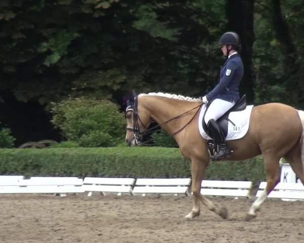 Reitturnier Krefeld - Reitanlage Kühnen 2017