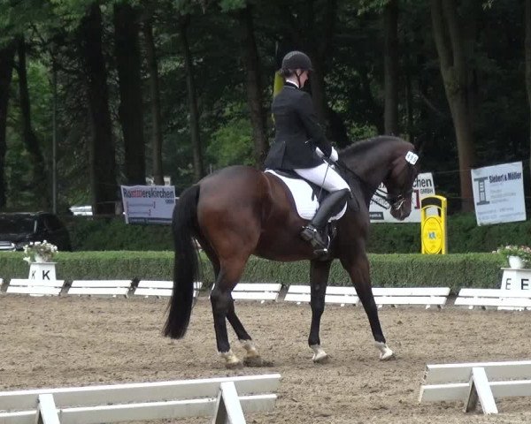 Reitturnier Krefeld - Reitanlage Kühnen 2017