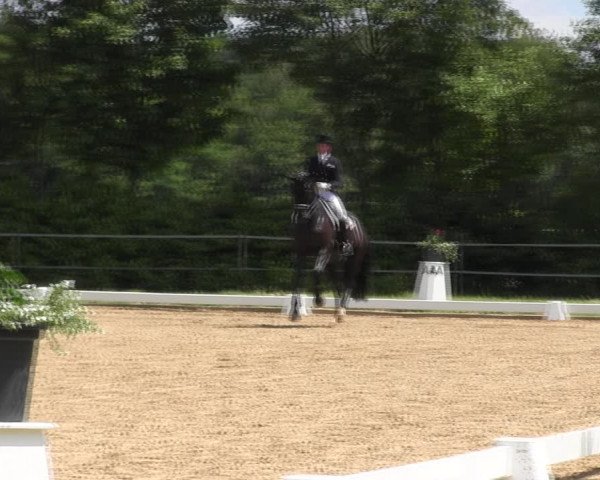 Reitturnier Hille 2017