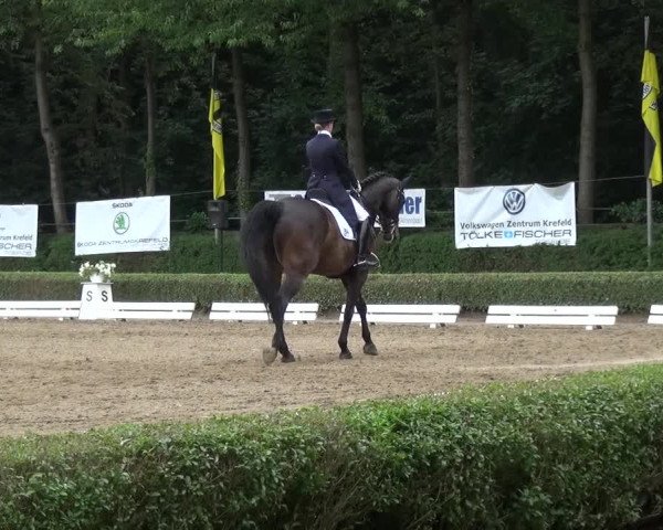Reitturnier Krefeld - Reitanlage Kühnen 2017
