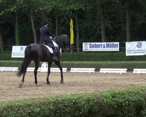 Reitturnier Krefeld - Reitanlage Kühnen 2017