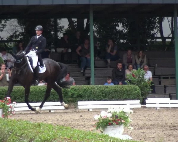 Reitturnier Krefeld - Reitanlage Kühnen 2017