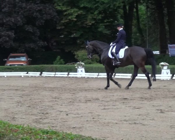 Reitturnier Krefeld - Reitanlage Kühnen 2017