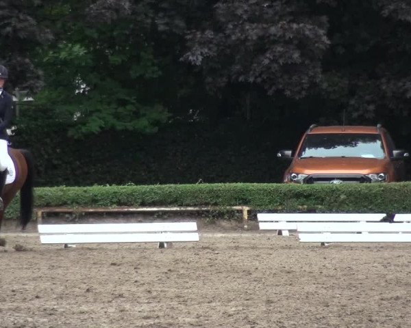 Reitturnier Krefeld - Reitanlage Kühnen 2017