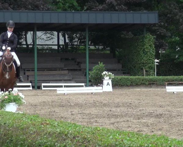 Reitturnier Krefeld - Reitanlage Kühnen 2017