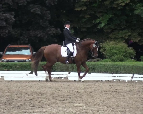 Reitturnier Krefeld - Reitanlage Kühnen 2017