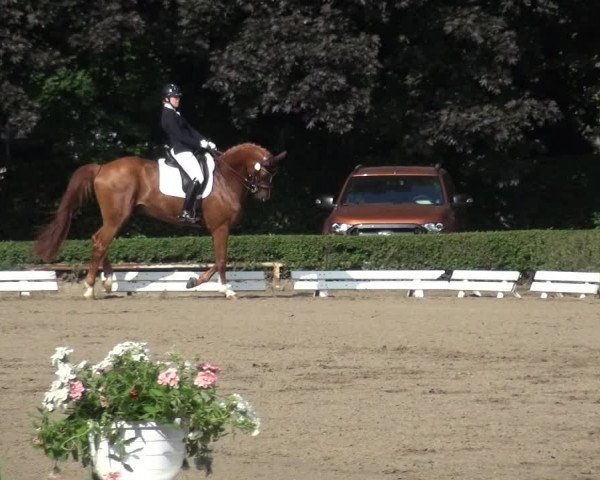 Reitturnier Krefeld - Reitanlage Kühnen 2017