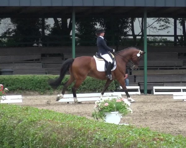 Reitturnier Krefeld - Reitanlage Kühnen 2017