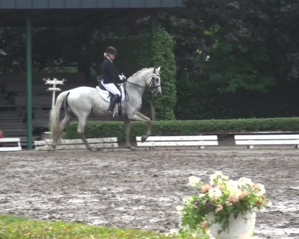 Reitturnier Krefeld - Reitanlage Kühnen 2017