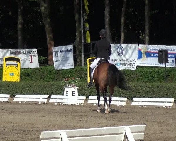 Reitturnier Krefeld - Reitanlage Kühnen 2017