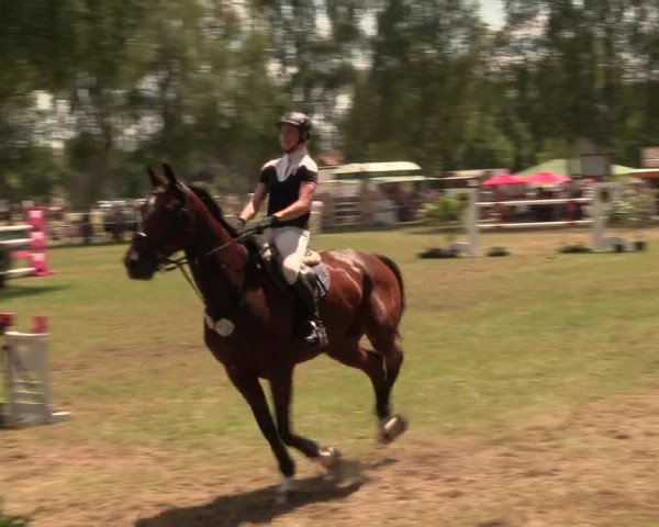 Reitturnier Hille 2017