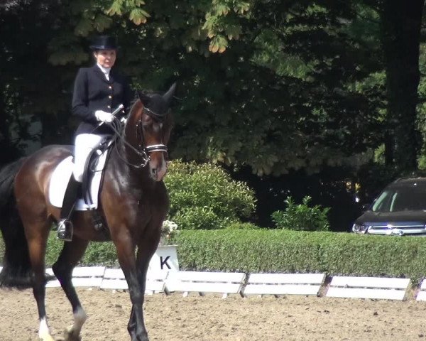 Reitturnier Krefeld - Reitanlage Kühnen 2017