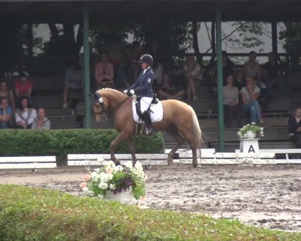 Reitturnier Krefeld - Reitanlage Kühnen 2017