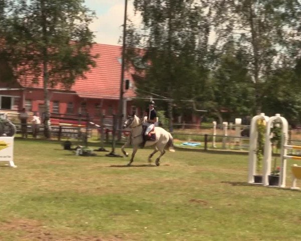 Reitturnier Hille 2017