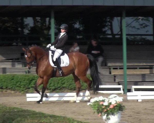 Reitturnier Krefeld - Reitanlage Kühnen 2017