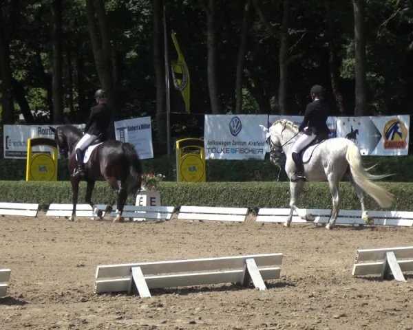 Reitturnier Krefeld - Reitanlage Kühnen 2017