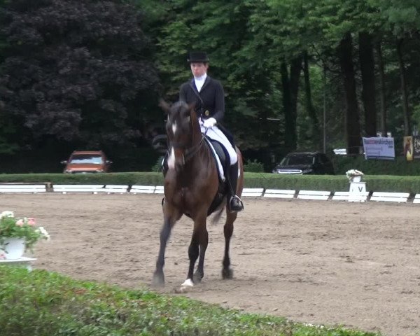 Reitturnier Krefeld - Reitanlage Kühnen 2017