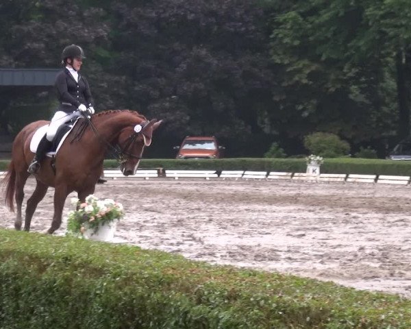 Reitturnier Krefeld - Reitanlage Kühnen 2017