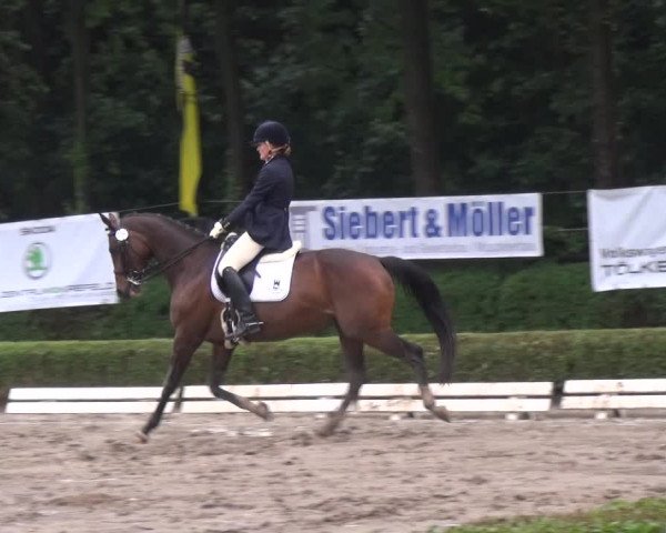 Reitturnier Krefeld - Reitanlage Kühnen 2017