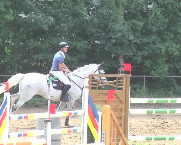 Reitturnier Wiesloch 2017