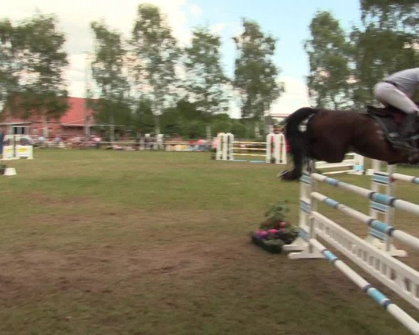 Reitturnier Hille 2017