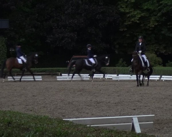 Reitturnier Krefeld - Reitanlage Kühnen 2017