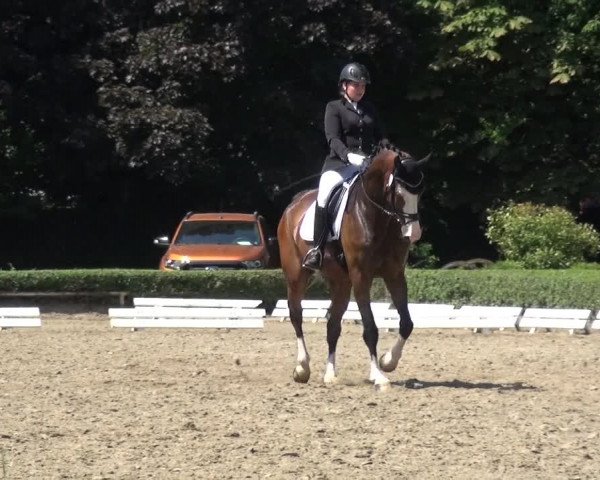 Reitturnier Krefeld - Reitanlage Kühnen 2017