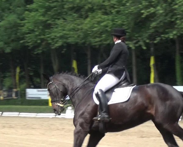 Reitturnier Krefeld - Reitanlage Kühnen 2017